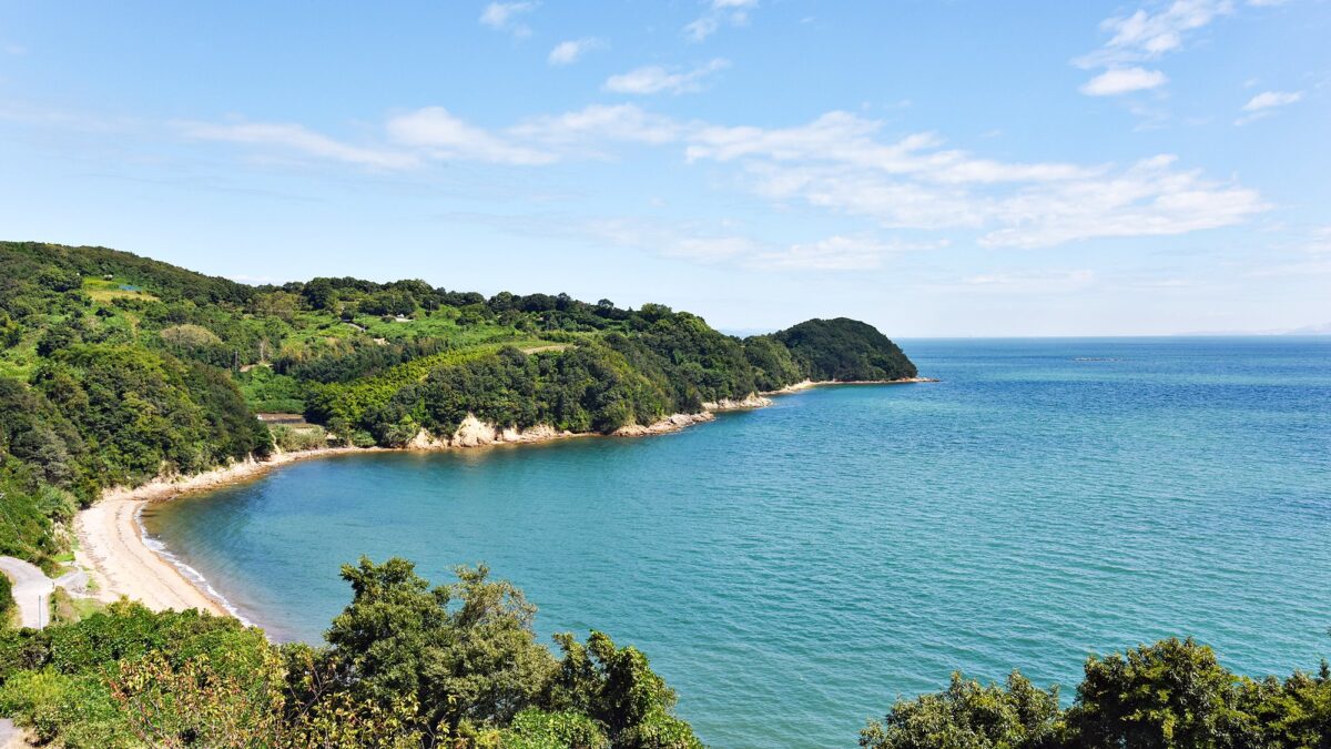 瀬戸の華 photo