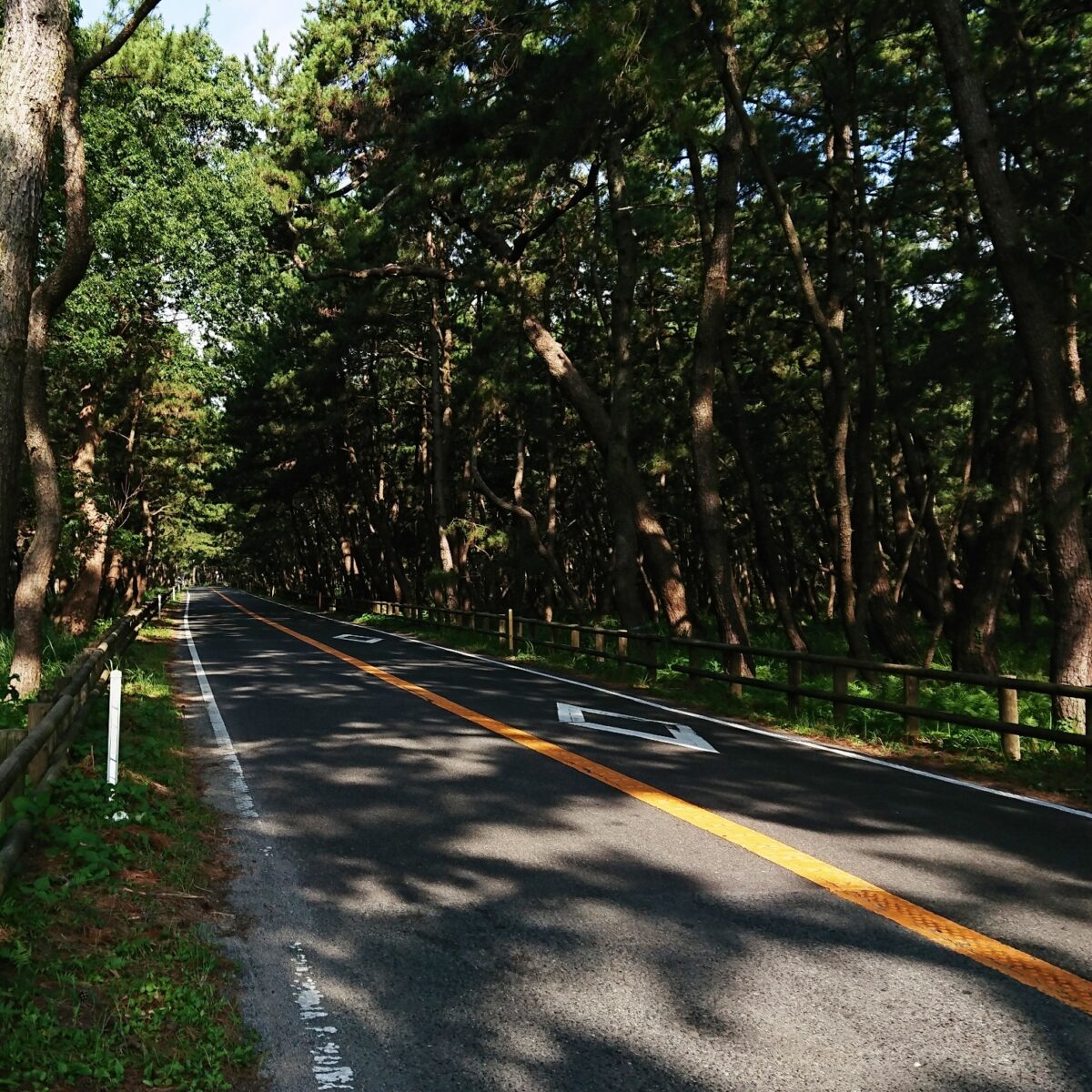 アスカホテル photo