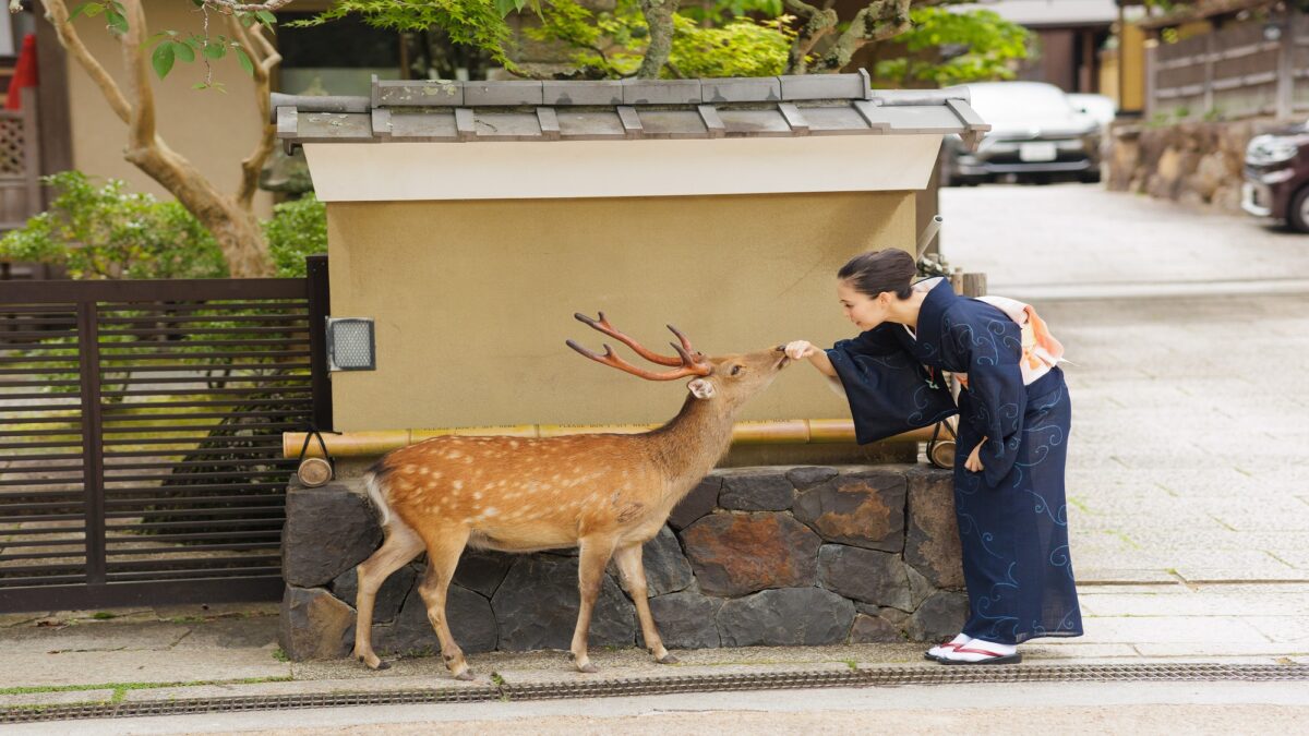 古都の宿 むさし野 photo