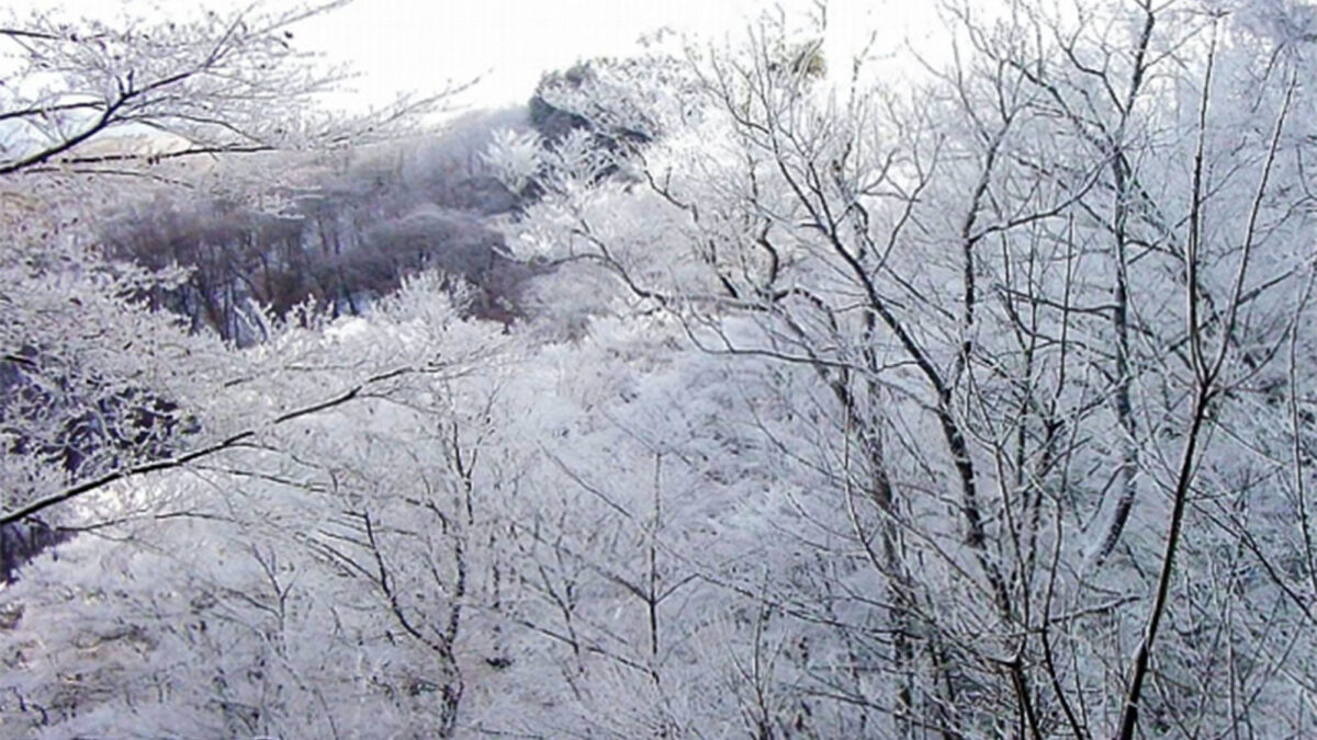 野迫川温泉 ホテルのせ川 photo