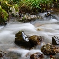 お風呂から望む渓流