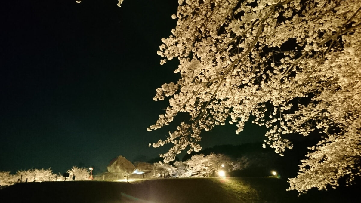 ホテル日航奈良 photo