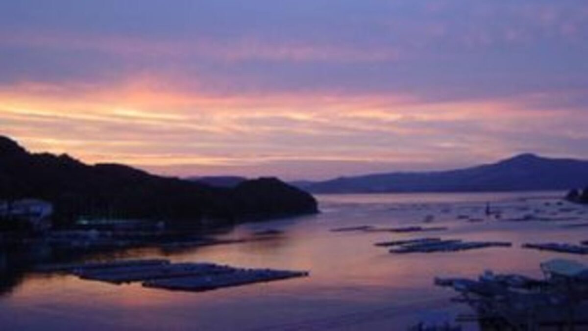 サン浦島 悠季の里 photo