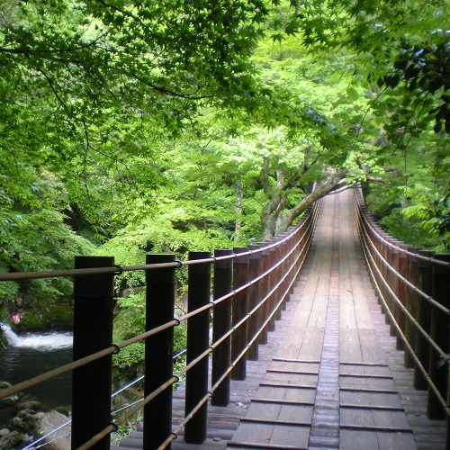 元湯 山田屋旅館 / Motoyu Yamadaya Ryokan photo