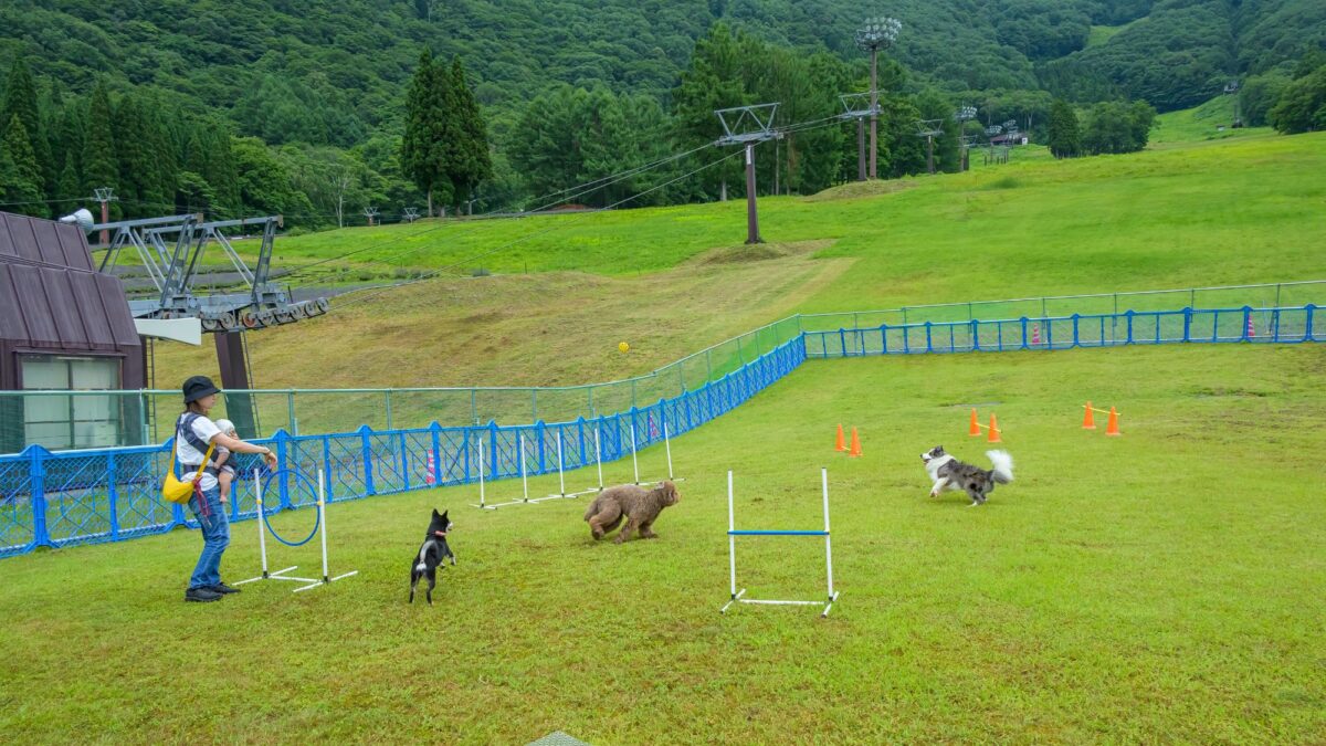 ホテルタングラム 斑尾東急リゾート photo