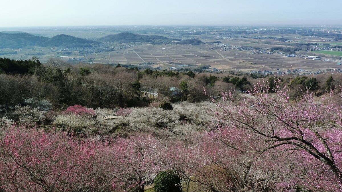 ホテル日航つくば photo
