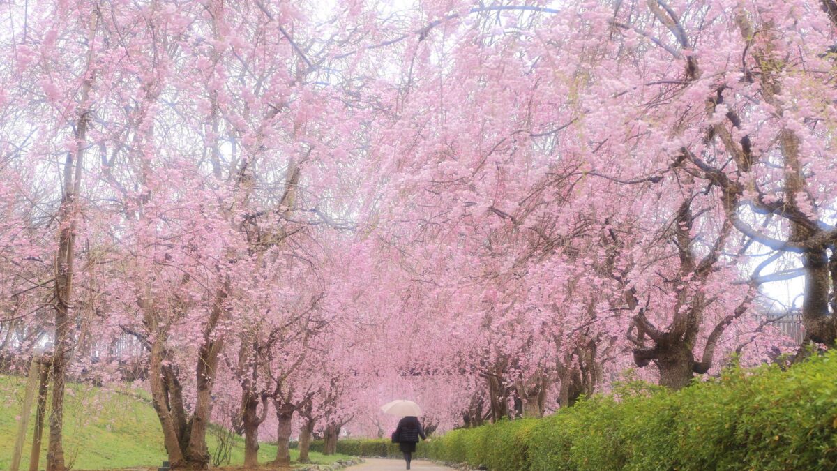 亀の井ホテル 筑波山 photo