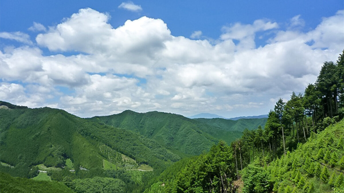 野迫川温泉 ホテルのせ川 photo