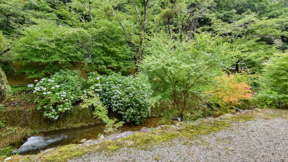料理旅館いずみ荘 photo