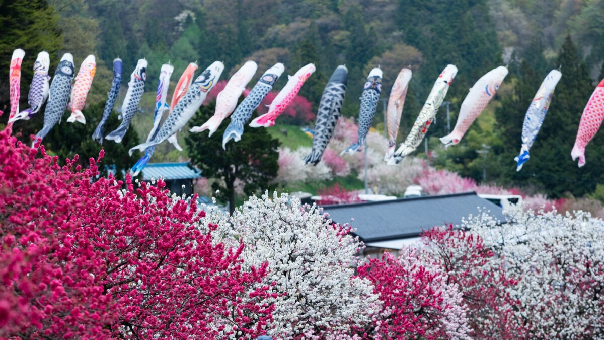 昼神溫泉 癒楽の宿 清風苑 / Hirugami Onsen Yura no Yado Seifuen photo