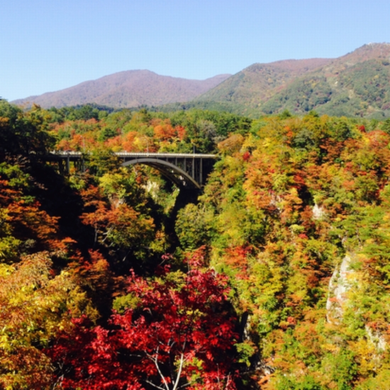 ホテル古川ヒルズ 古川駅前（ＢＢＨホテルグループ） photo