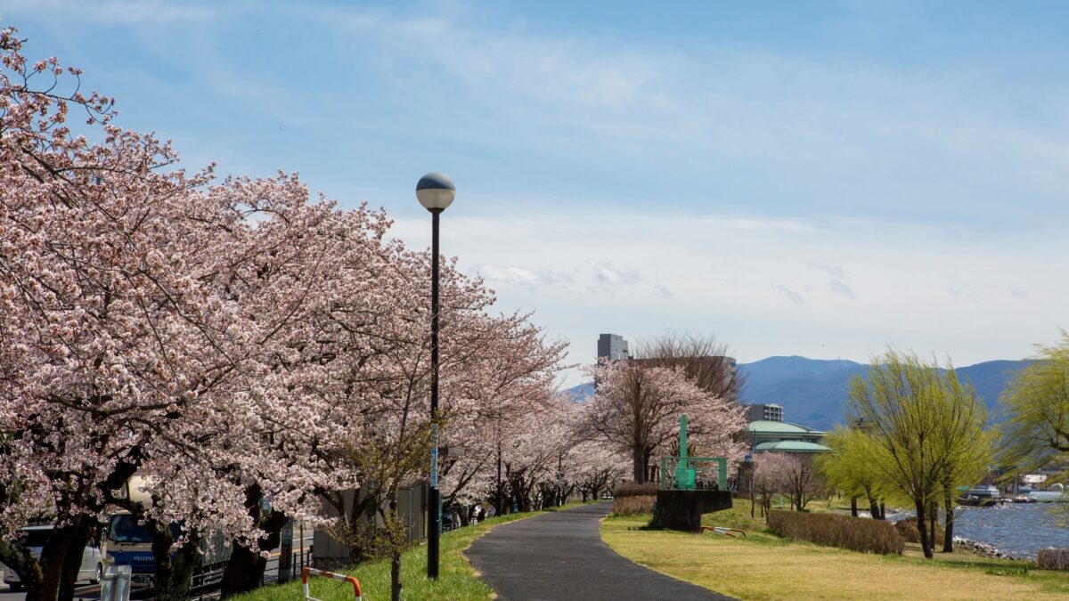 上諏訪溫泉 しんゆ(親湯) / Ryokan Kamisuwa Onsen Shinyu photo