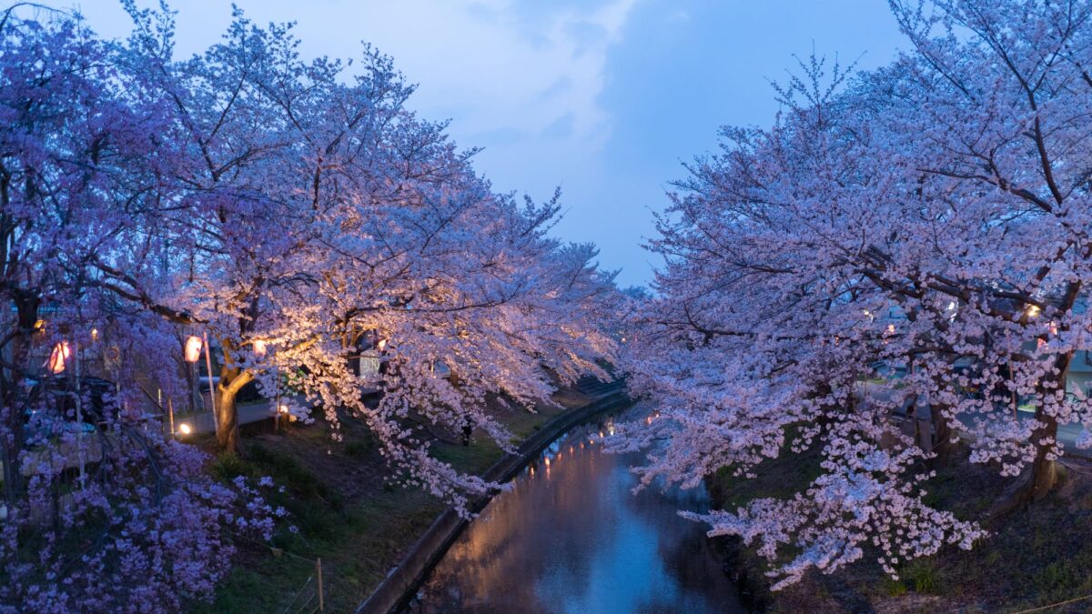 ホテル日航奈良 photo