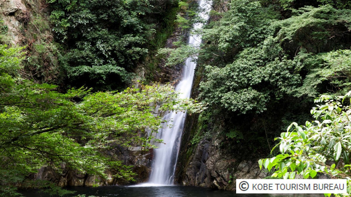 グリーンリッチホテル神戸三宮 人工温泉・二股湯の華 photo