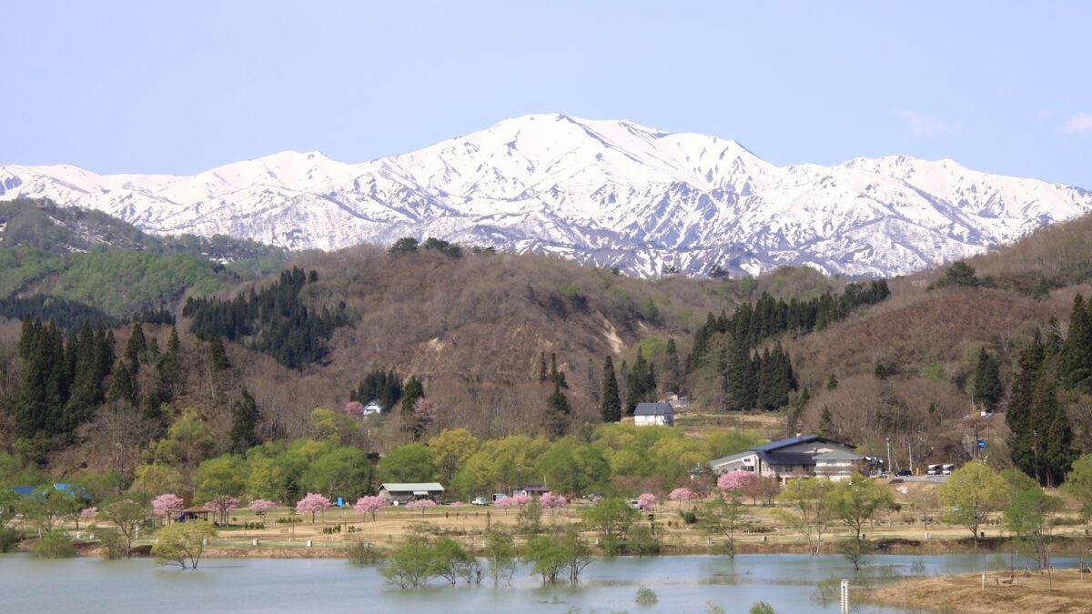 白川温泉いいで白川荘 photo