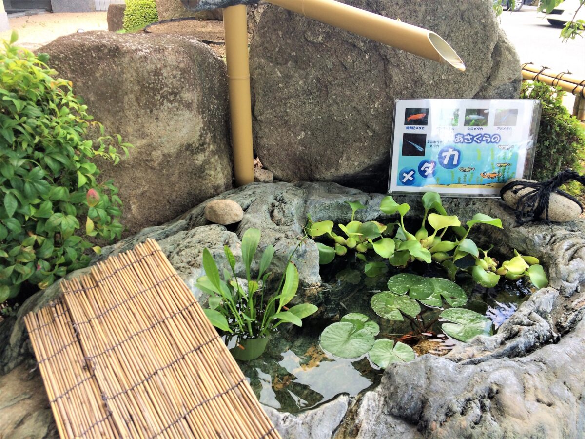 湯田温泉 ＫＫＲ山口あさくら（国家公務員共済組合連合会湯田保養所） photo