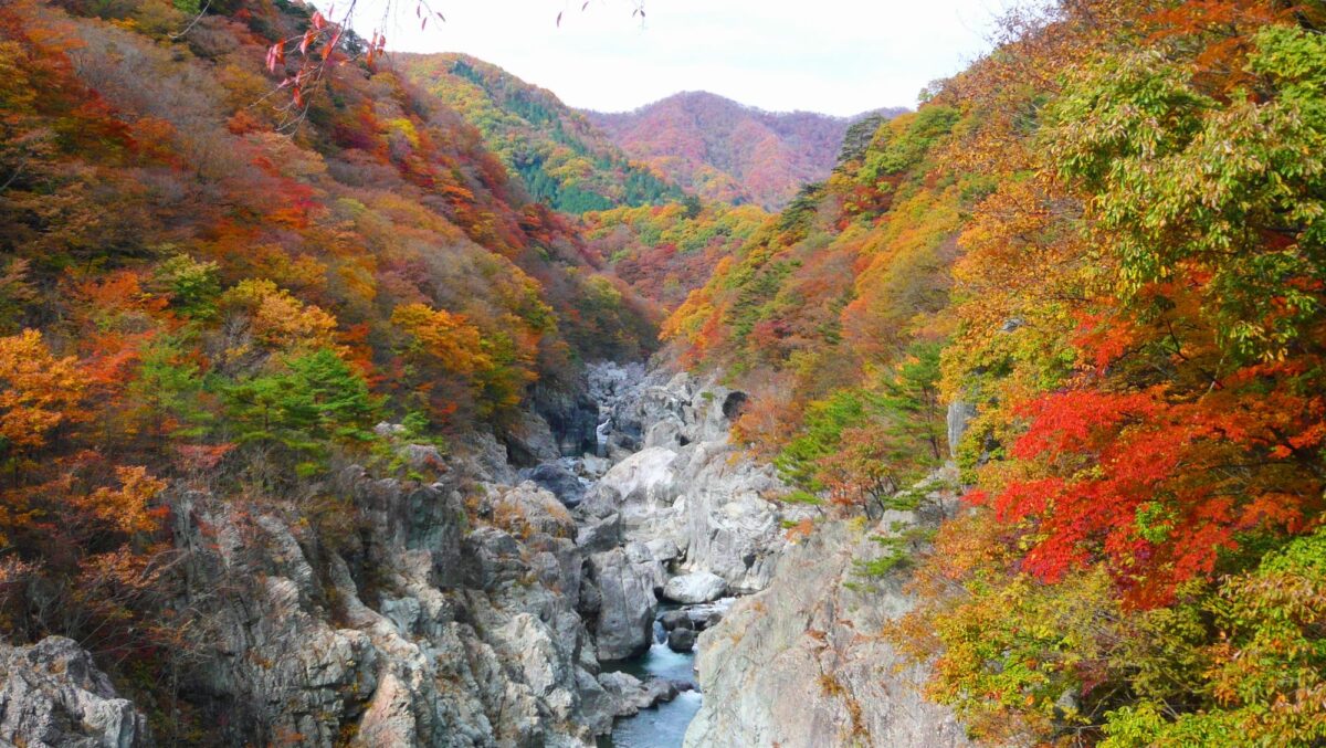 鬼怒川温泉 鬼怒川プラザホテル photo