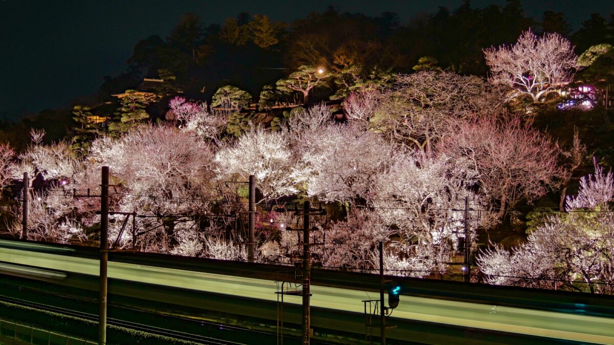大洗パークホテル photo