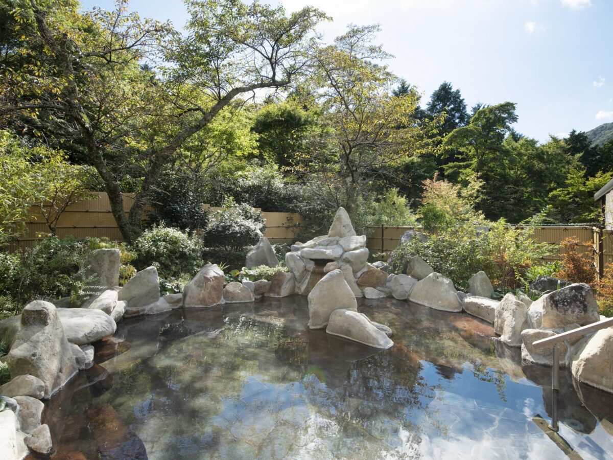 仙石原温泉 箱根高原ホテル photo