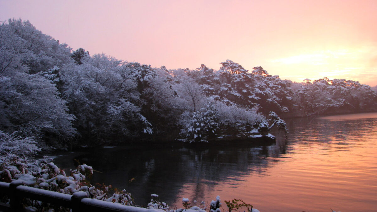 松島佐勘 松庵 / Matsushima Sakan Shoan photo