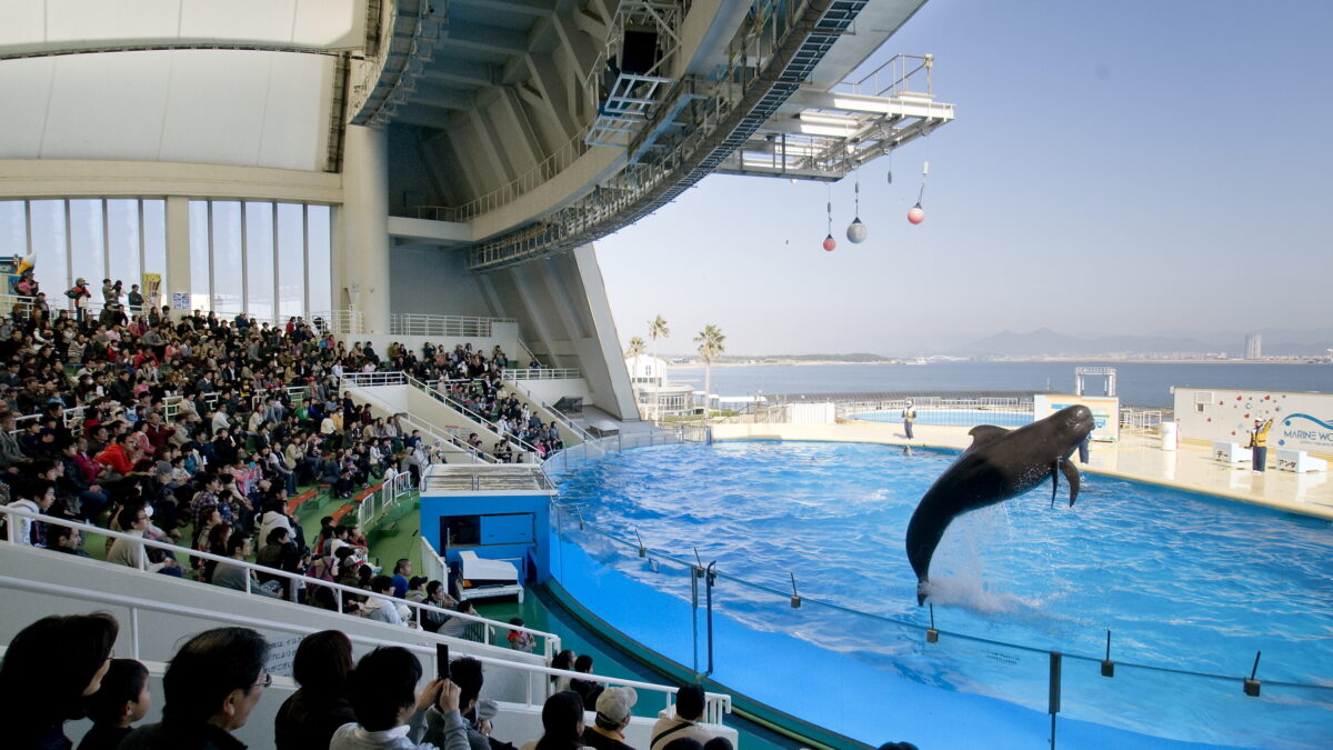 ＪＲ九州ホテル ブラッサム博多中央 photo