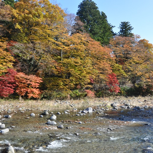 11月初旬の当館テラスからの紅葉風景
