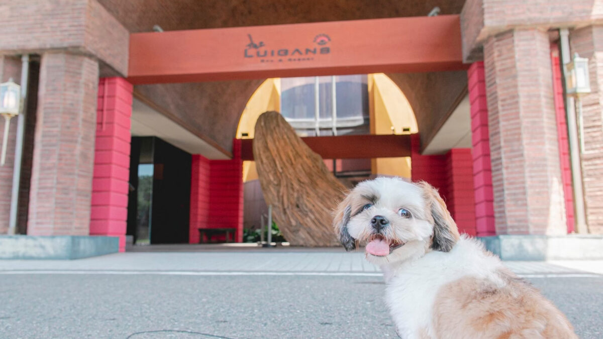THE LUIGANS Spa&Resort(ザ・ルイガンズ スパ&リゾート) photo