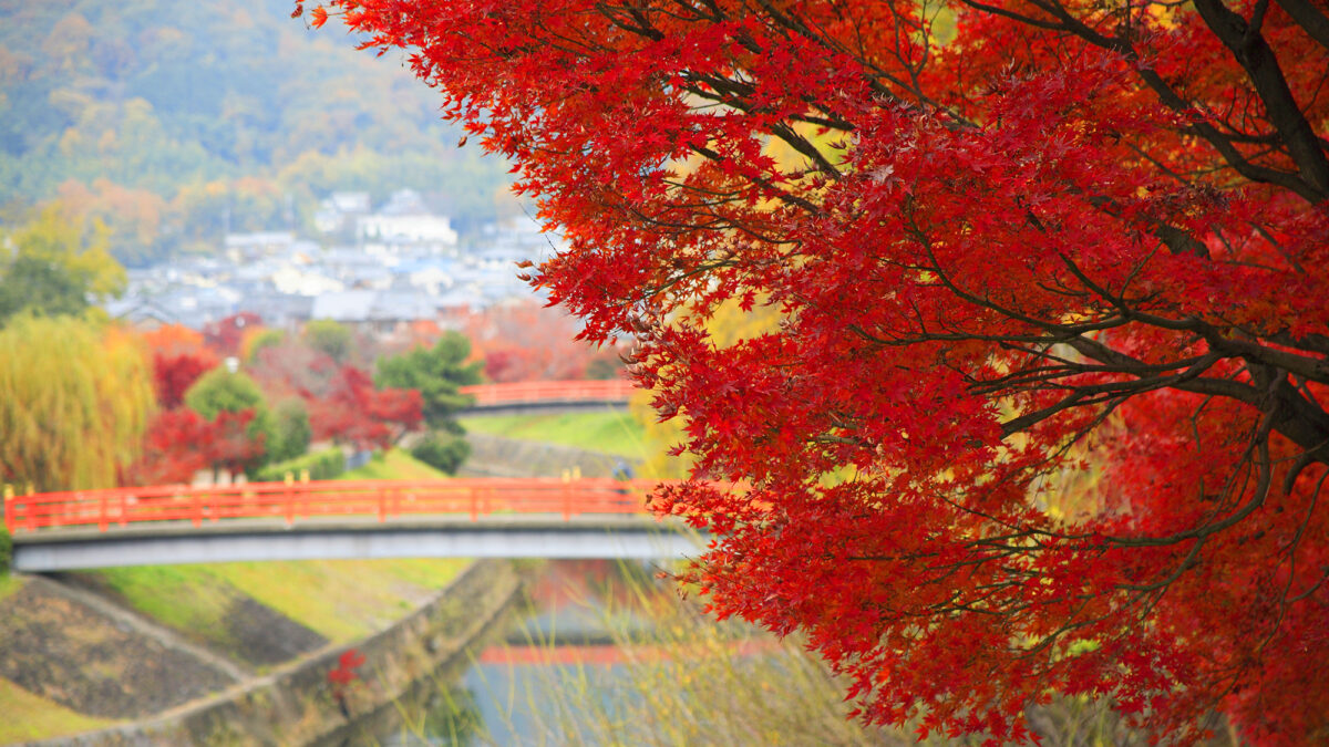 門前宿 和空法隆寺 photo