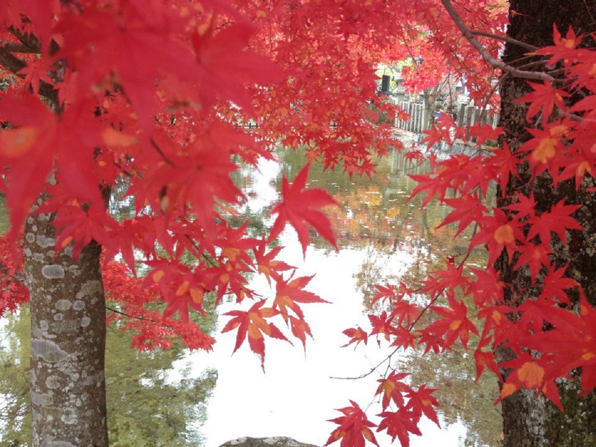 洞川温泉 旅館 久保治 photo