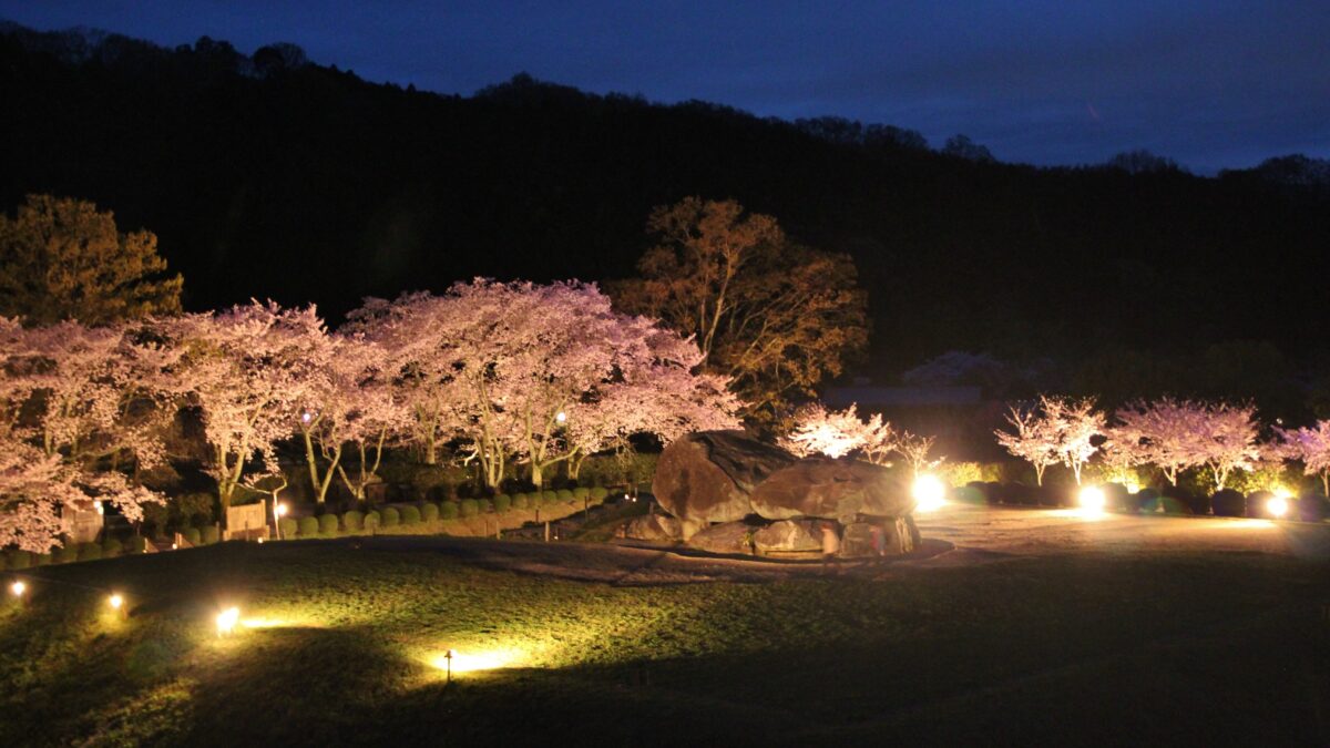 多武峰観光ホテル photo