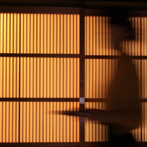 元湯 山田屋旅館 / Motoyu Yamadaya Ryokan photo