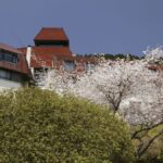 小田急 山のホテル