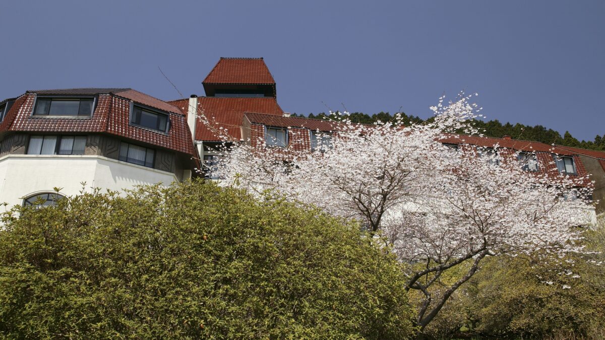 小田急 山のホテル photo