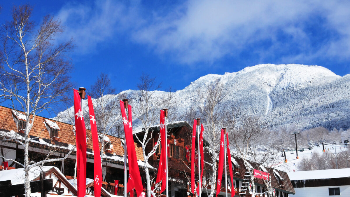 芹ヶ沢溫泉 白樺湖ビュー飯店 / Serigasawa Onsen Shirakabako View Hotel photo