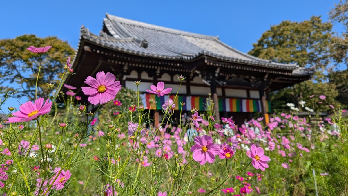 フェアフィールド・バイ・マリオット・奈良天理山の辺の道 photo