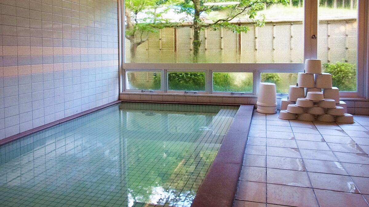 薬師湯温泉 旅館 竹屋敷 photo