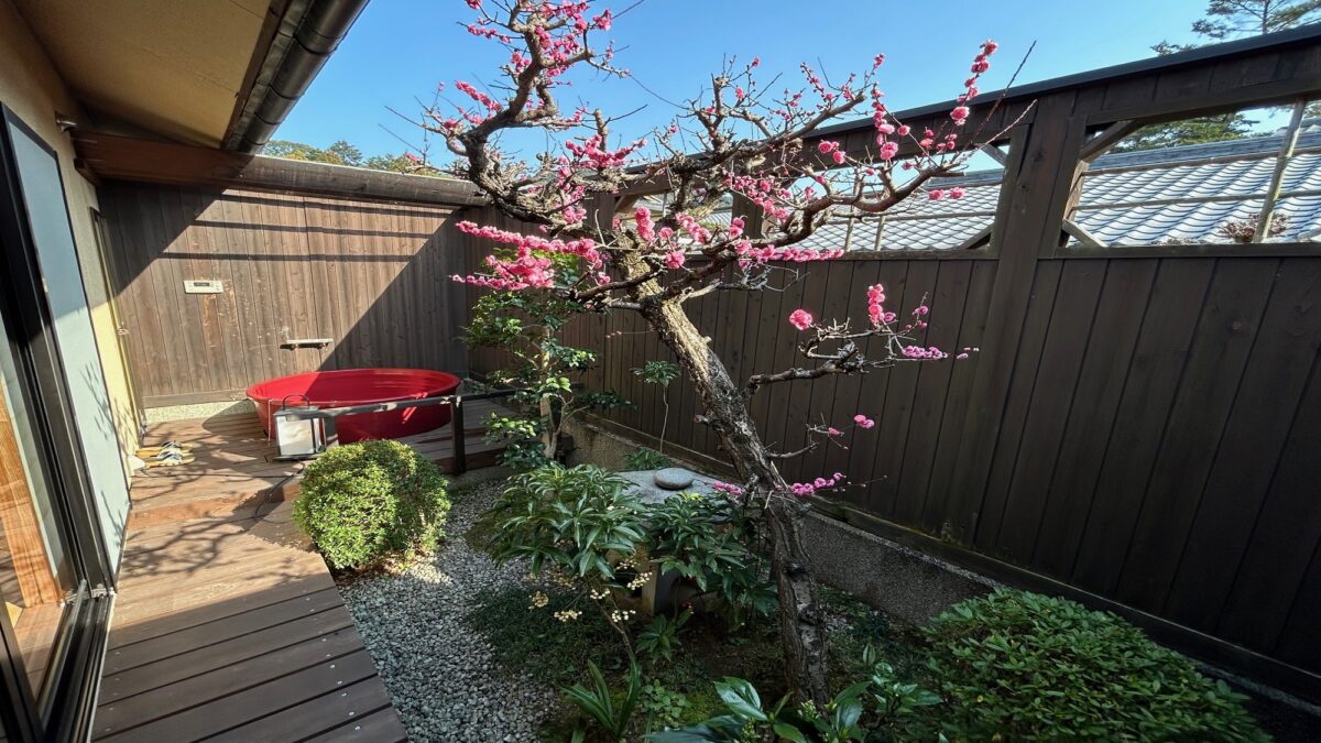 古都の宿 むさし野 photo