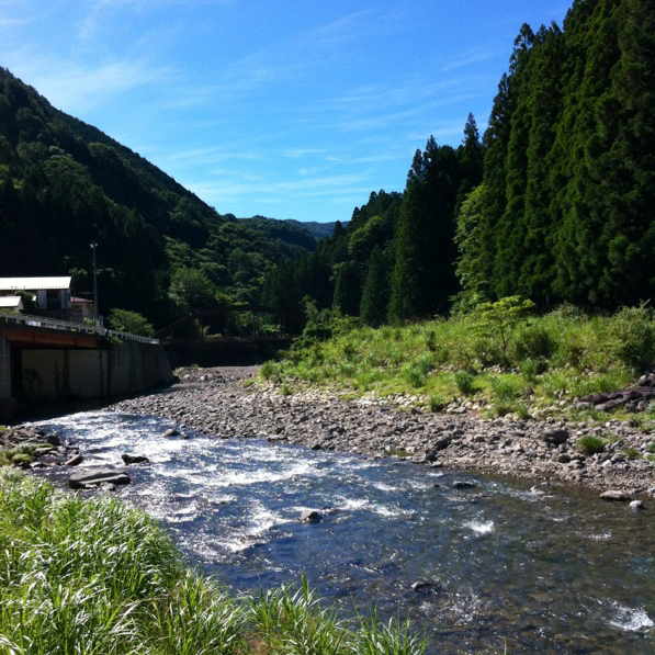 野迫川温泉 ホテルのせ川 photo
