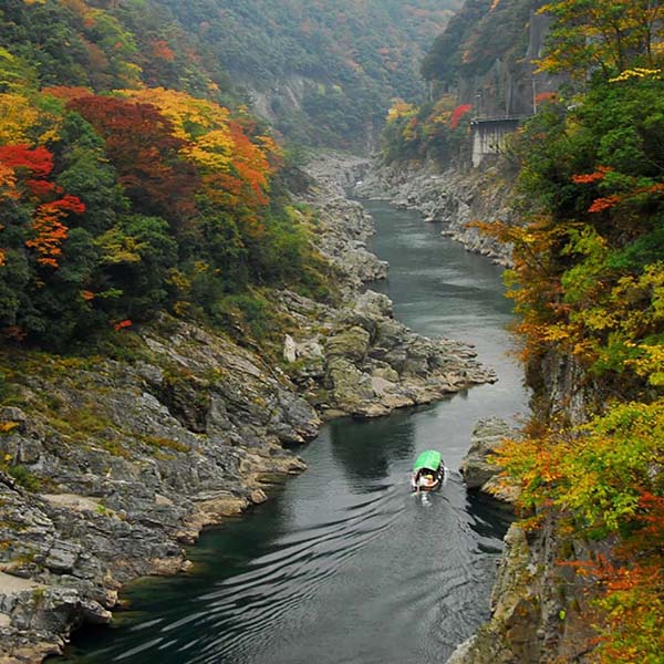 大歩危温泉 サンリバー大歩危 photo