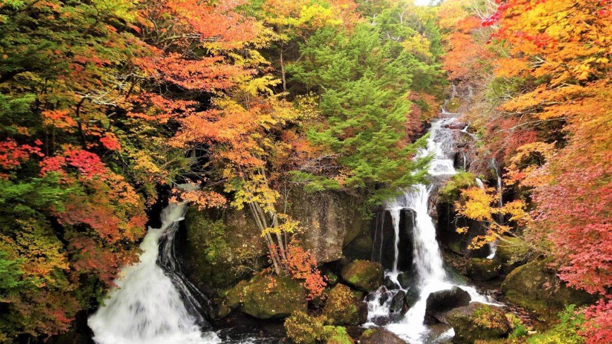 鬼怒川温泉 鬼怒川グランドホテル 夢の季(ゆめのとき) photo