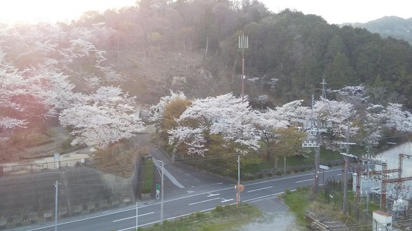 ホテルルートイン東近江八日市駅前 photo