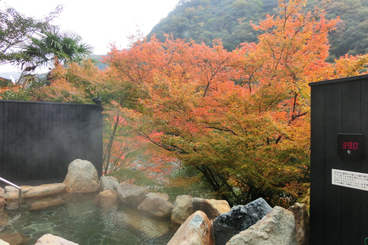 武田尾温泉 紅葉舘 別庭 あざれ photo