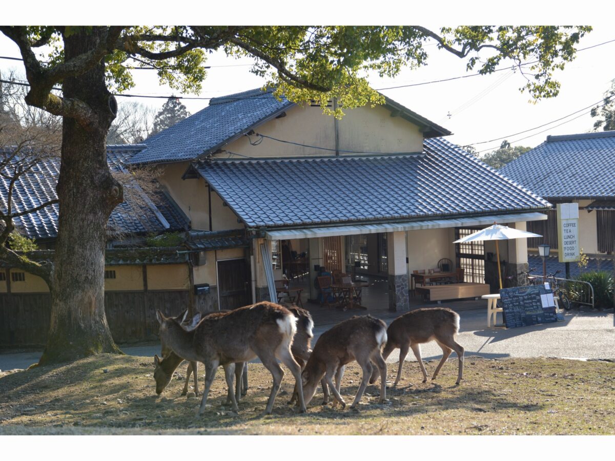 Ｍｏｕｎｔａｉｎ Ｈｏｍｅ Ｌｏｄｇｅ ｉｎ Ｄｅｅｒ Ｐａｒｋ photo