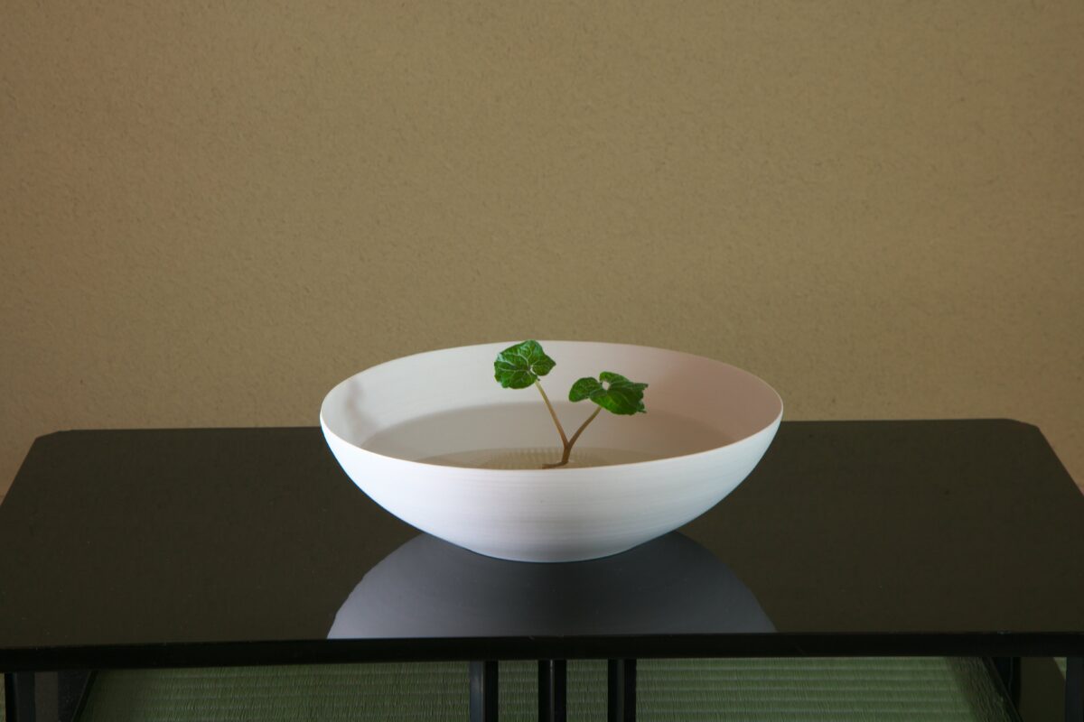 有馬温泉 高山荘 華野 photo