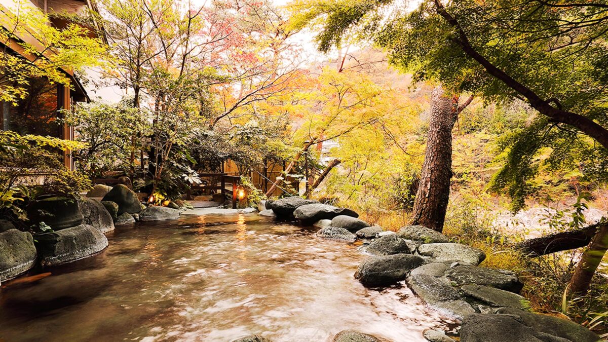 鬼怒川温泉 花の宿 松や photo