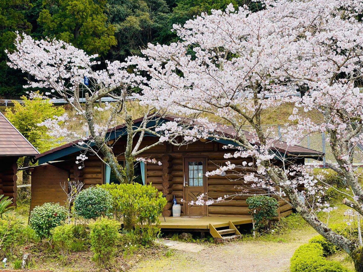 ペンション ししくい photo