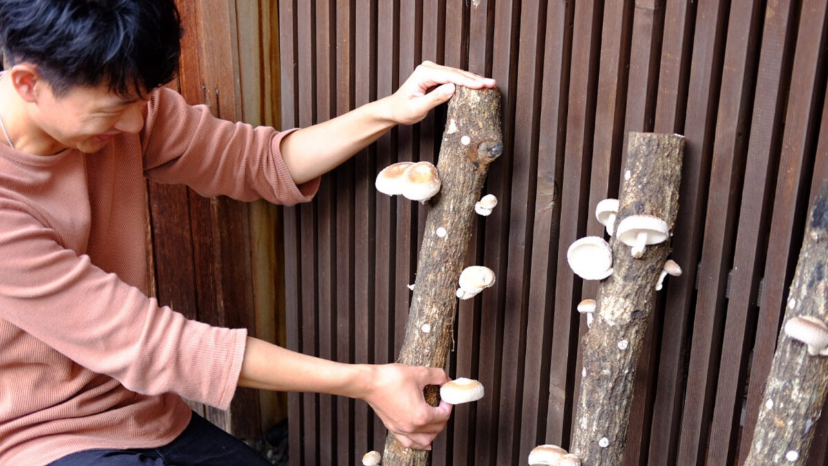 景勝の宿 芳雲館 photo