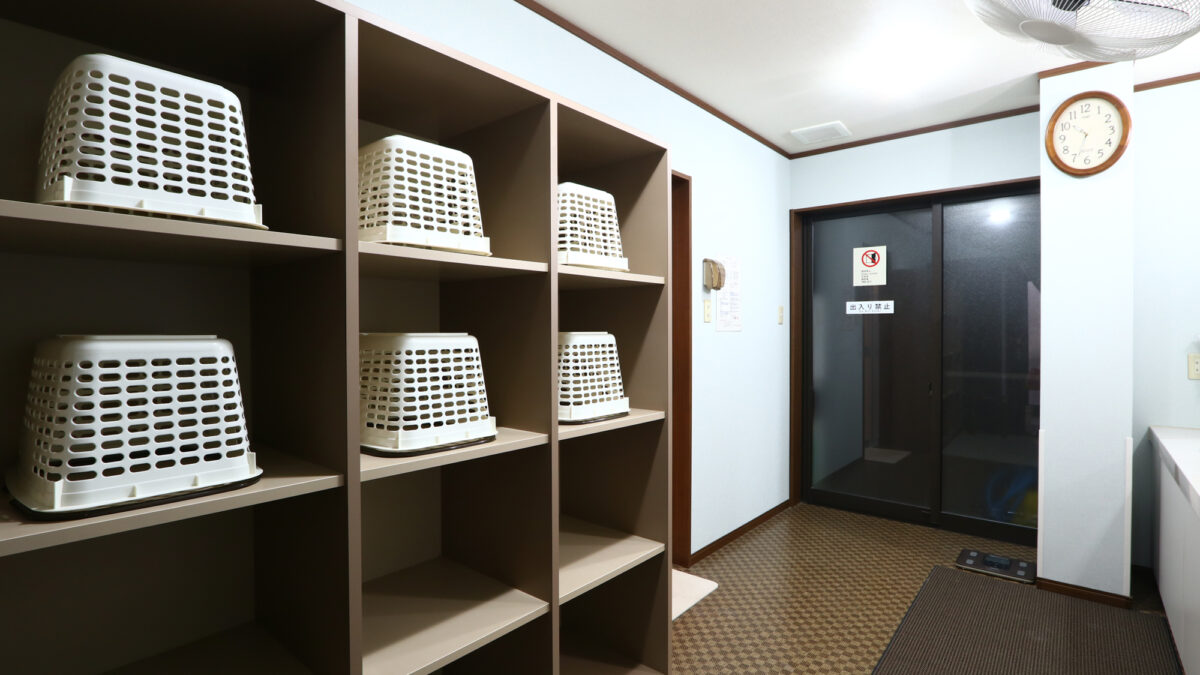 温泉民宿 小阪屋 元館 photo