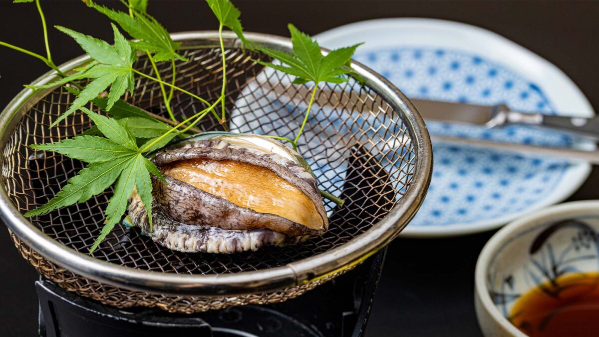 今井浜温泉 かね吉一燈庵 photo