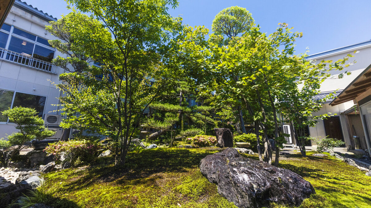 鳥取温泉 温泉旅館 丸茂 photo